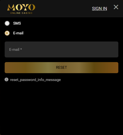 Reset password form with e-mail and SMS